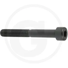  525901670.0 — Śruba z łbem walcowym Krone Palce podbieracza M8x60 12.9