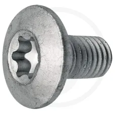  52784926 — Śruba Trioliet z gniazdem gwiazdowym, 10 x 19 mm