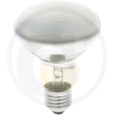 PHILIPS 56438116400100C — Lampa na podczerwień Hodowla drobiu Żarówki promiennika 100 W Klar