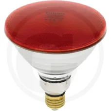 PHILIPS 56438116401100R — Lampa na podczerwień Hodowla drobiu Żarówki promiennika 100 W Rot
