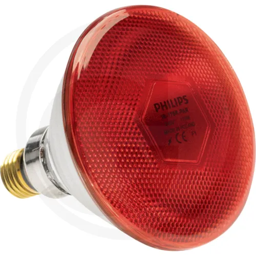 Lampa na podczerwień Hodowla drobiu Żarówki promiennika 175 W Rot