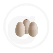 Horizont 56438520010003 — Jaja w gniazdach Hodowla drobiu Jajo do gniazda Ceramiczna