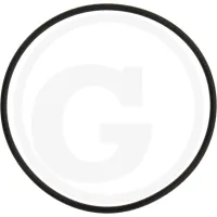 O-ring Rabe Części zamienne brony aktywnej 55 x 2 mm