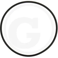  1802200045 — O-ring Rabe Części zamienne brony aktywnej 55 x 2 mm