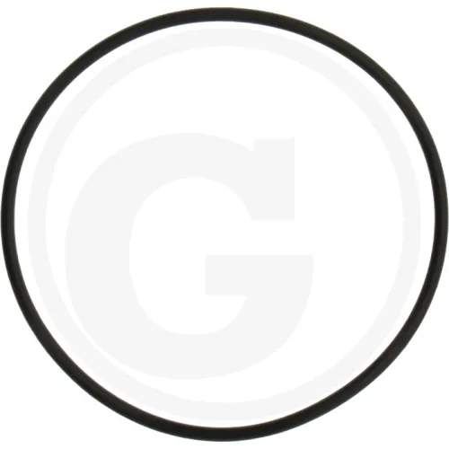 O-ring Rabe Części zamienne brony aktywnej 55 x 2 mm