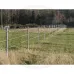 Palik z tworzywa sztucznego  Paliki z tworzywa sztucznego Paliki okrągłe z ostrym końcem Rundpfosten