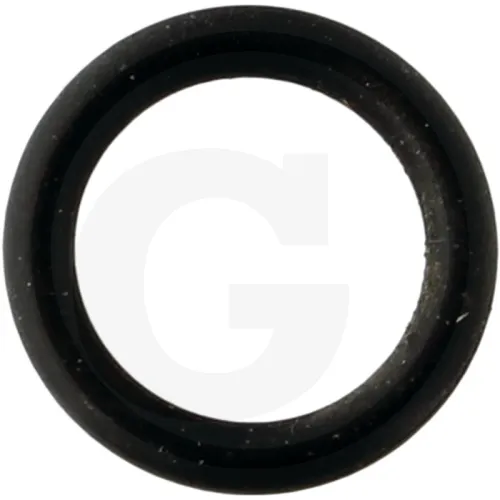 Oring 6-6/16