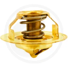 AGTECH 6562485C021 — Termostat Ursus MF 4512 / 4514