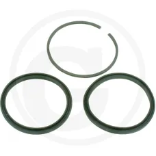 AGTECH 65650548500KPL — Pierścienie tłoka cylindra podnośnika hydraulicznego komplet Ursus MF C-360