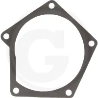 Uszczelka pompy wodnej Zetor Proxima / Forterra