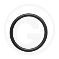 Oring zaworu pompy Opryskiwacz polowy