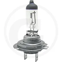 Żarówka halogenowa H7 12V 55W Oświetlenie