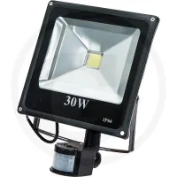 Naświetlacz LED 30 W z czujnikiem ruchu Oświetlenie