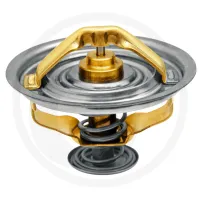 Termostat Case IH  C 55, 64, 70, CS 68, 75 do DBD0023065, 78, 86, 94 do