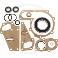 Zestaw naprawczy Massey Ferguson  3670, 3680, 3690, 8140, 8150, 8160   Sisu do pompy