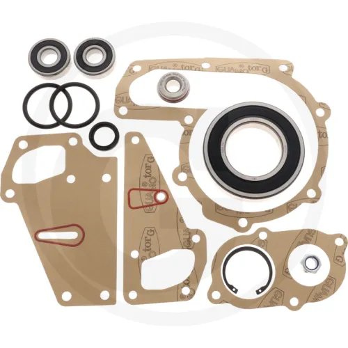 Zestaw naprawczy Massey Ferguson  3670, 3680, 3690, 8140, 8150, 8160   Sisu do pompy
