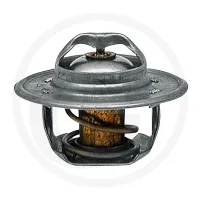 Termostat Ford  2000, 3000, 4000, 5000, 7000, 4100, 2600, 3600, 4600, 5600, 6600, 7600, 6700, 7700, 4110, 5110, 6410, 2610, 3610, 4610, 5610, 6610