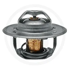 GRANIT 74717039 — Termostat Ford  8000, 8700, 9000