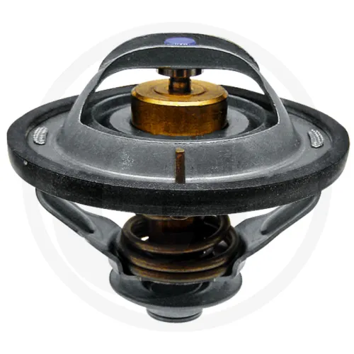 Termostat Case IH  Quantum 95N, 95V, Quantum 85, 95, 105, Farmall 65, 75, 85, 95, 105, 115, JX 90, 95, JXU 75, 85, 95, 105, 115, Maxxum 100, 110