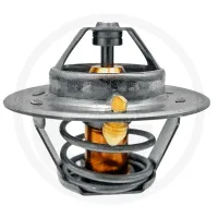 Termostat Renault  Ares 610, 620, 710, 720, 630, 640, 715, 725, 735, 816, 826, 836, 815, 825, 540, 546, 550, 556, 566, 547, 557, 567, 577, 616, 626
