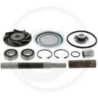 Zestaw naprawczy Steyr  40, 50, 60, 540, 545, 548, 650, 658, 760