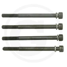  85295025 — Zestaw śrub Massey Ferguson do rozdzielacza dodatkowego