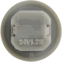 Żarówka z cokołem z tworzywa BAX10d 24 V / 1,2 W Żarówki / oprawy