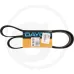 Pasek klinowy wielorowkowy Ford 8160, 8260, 8360, 8560 ohne