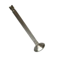 ZAWÓR WYDECHOWY SILNIKA C-360 NO.2, 33,20X10,00X129,30MM
