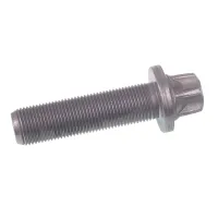 ŚRUBA PIASTY SCHMITZ, SAF M18X1,5X67MM OE