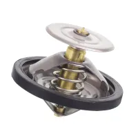 TERMOSTAT IFA L60 82°C
