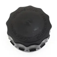 KOREK ZBIORNIKA WYRÓWNAWCZEGO DAF 95XF M72X4/80MM