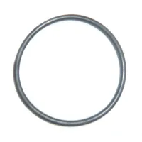 ORING  29,20X3,00MM REGULATORA 3-ZAKRESOWEGO
