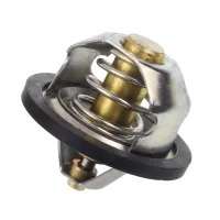 TERMOSTAT MULTICAR M25