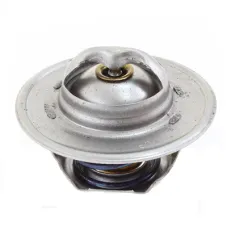  4823210 — TERMOSTAT FIAT, FORD, NEW HOLLAND, CASE IH, LAVERDA, STEYR, 79°C