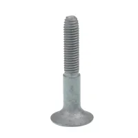 ŚRUBA PODŁOGI NACZEPY KRONE M8X1,25X55MM, TORX T40 OE