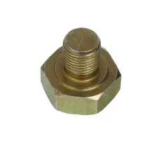  A2550146R — KOREK RURKI ZBIORNIKA T-25 M10X1