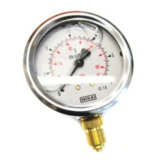 WIKA B711-W063006D — MANOMETR 1/4 DÓŁ, 0-  6 BAR