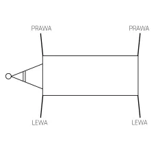 POLSKA PRODUKCJA DZ01-SX/2G-12/150-25 — SPINACZ DŹWIGNIA DOLNEGO OTWIERANIA BURTY LEWA fi25