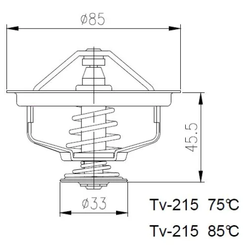 TERMOSTAT FENDT 75°C