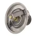 TERMOSTAT FENDT 75°C