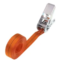 PAS TRANSPORTOWY  1,0T, 10M B=25MM, DO OPASANIA, METKI 2024, EN 12195-2