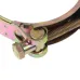 OPASKA SKRĘCANA GBS  36-39MM B=20MM, (10SZT/OPAKOWANIE), NEUTRAL OCYNK ZŁOTY