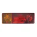 LAMPA TYLNA ZESP. 2-SEGM. LEWA 12/24V - BEZ PRZEWODU, C-360 TYŁ, D-47