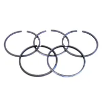 PIERŚCIENIE T-25 (5P) (CHROM) KPL/1TŁOK