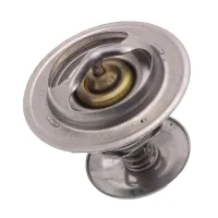 TERMOSTAT MTZ TS 86st. C.